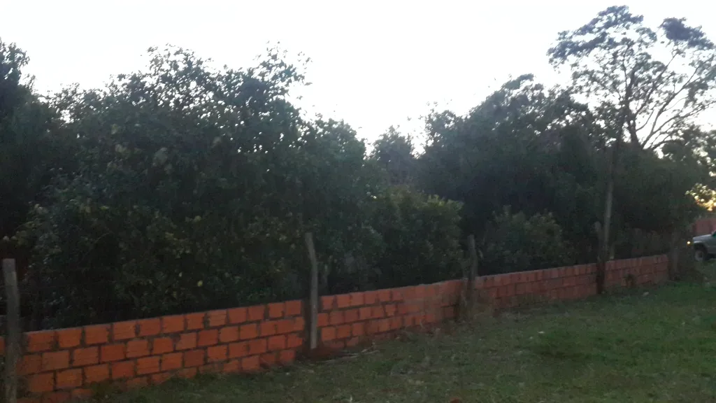 Vendo terreno con pequeña casa — foto 2