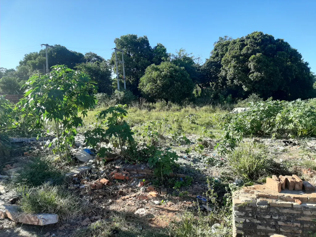 Terreno en Ñemby Mbocayaty — foto 2