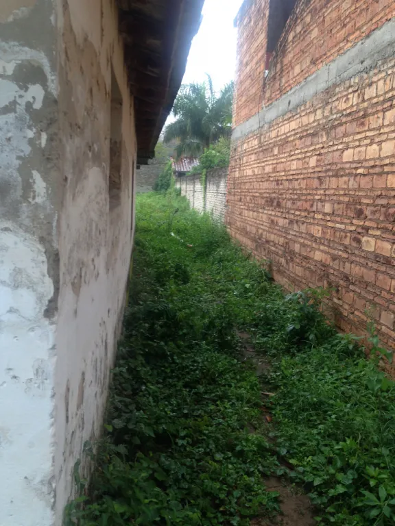 Terreno de 490 m2 zona Avd. Semidei — foto 2