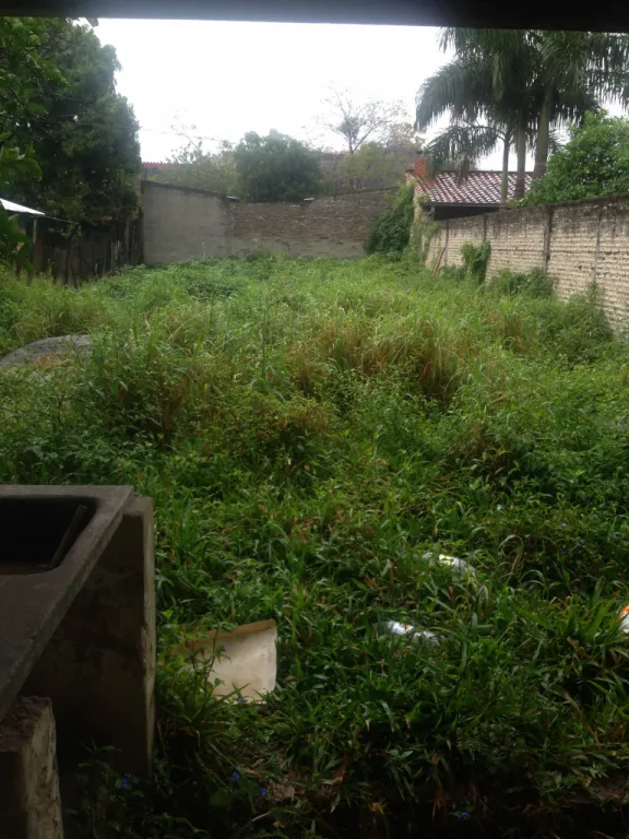 Terreno de 490 m2 zona Avd. Semidei — foto 3