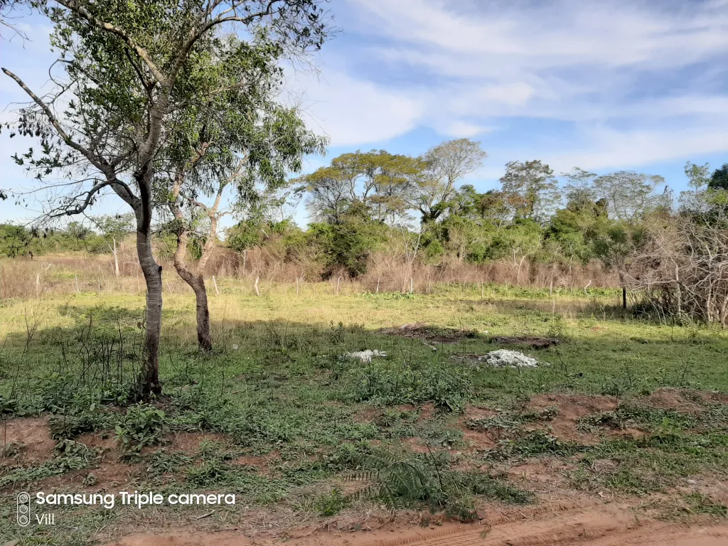 Terreno en Ypacarai — foto 3