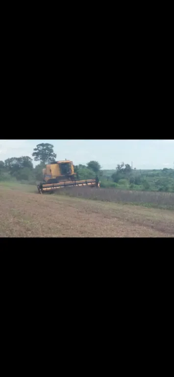 Vendo Excelente Propiedad Rural en Itakyry, especial para cultivo, ganadería, reforestació — foto 3