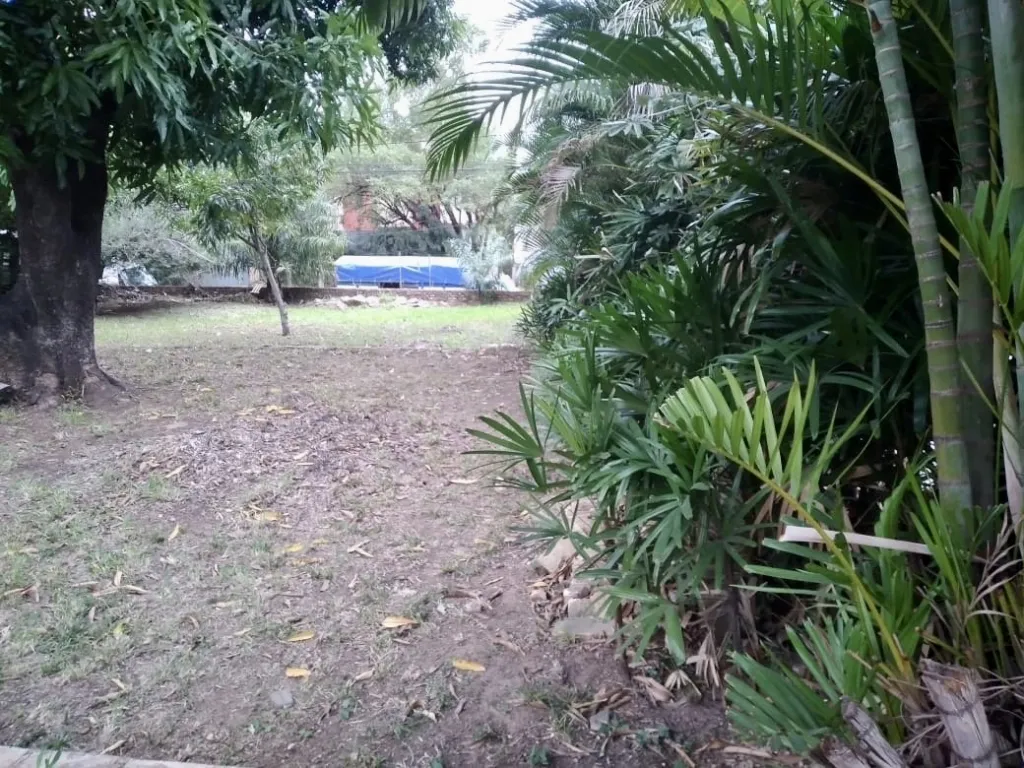 Vendo terreno en Trinidad sobre Molas López — foto 2