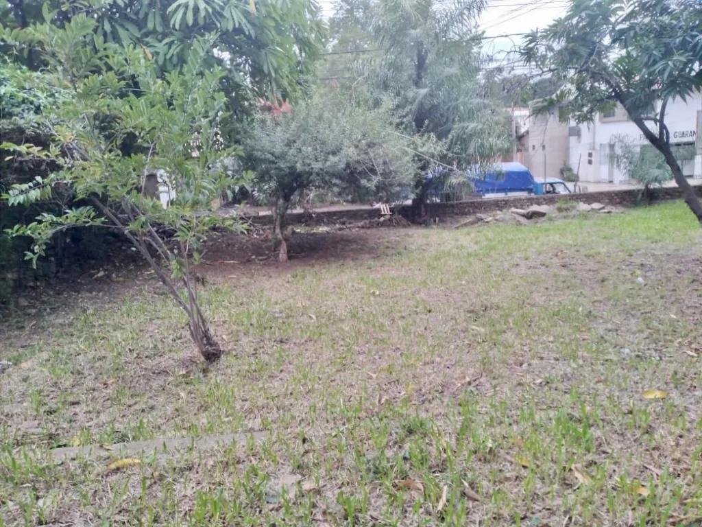 Vendo terreno en Trinidad sobre Molas López — foto 3