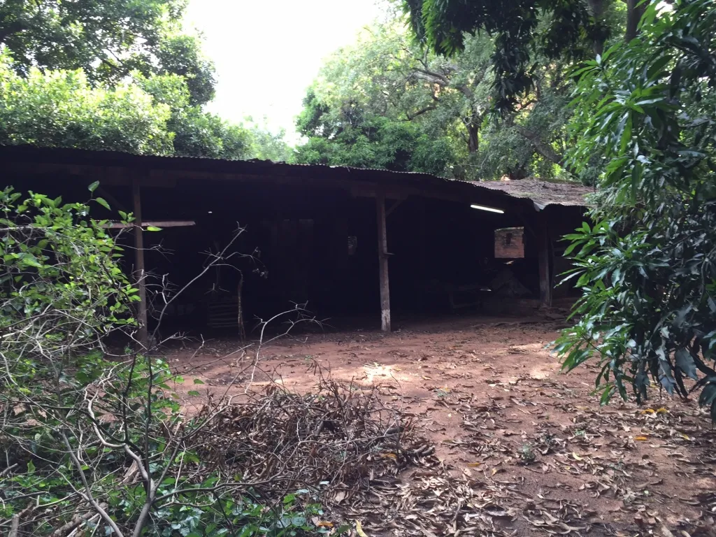 Vendo amplio terreno zona del mercado 4 — foto 2