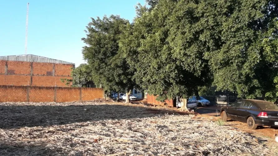 VENDO TERRENO EN SANTA RITA - ALTO PARANA — foto 3