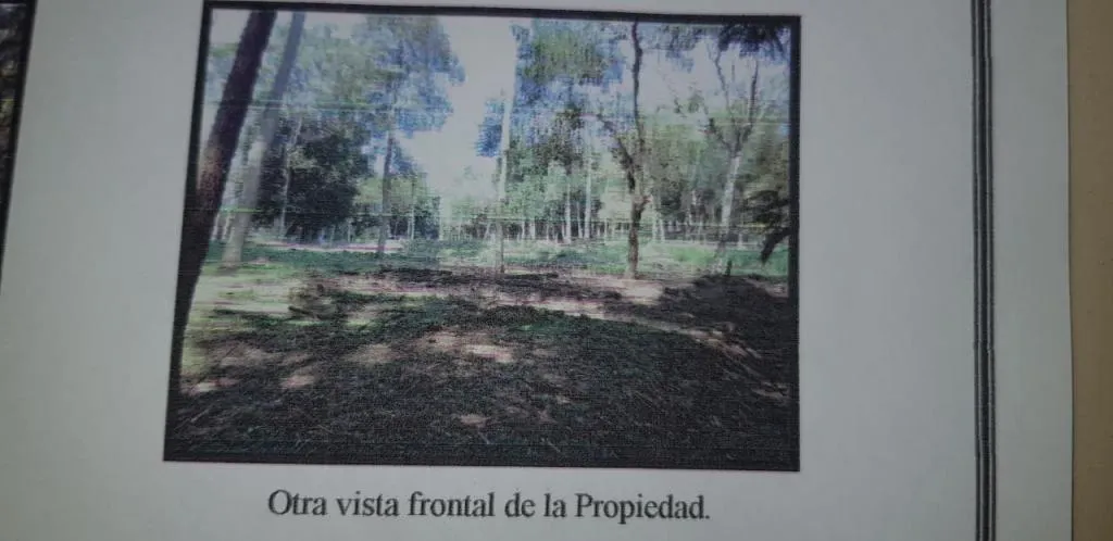 VENDO EN EL PARANA COUNTRY CLUB TERRENO DE 2000 METROS CUADRAROS — foto 2