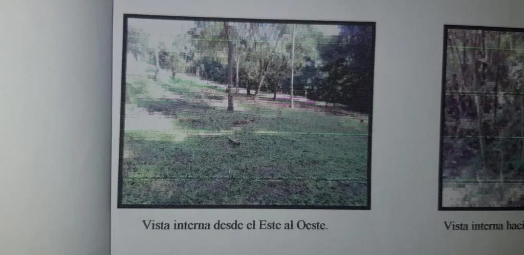 VENDO EN EL PARANA COUNTRY CLUB TERRENO DE 2000 METROS CUADRAROS — foto 3