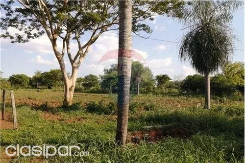 3 terrenos juntos en Ypane, Paso de oro — foto 3