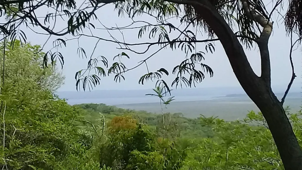 SANBER NUEVA COLOMBIA: MARAVILLOSAS 11 HECTÁREAS, VISTA PANORÁMICA AL LAGO. — foto 2