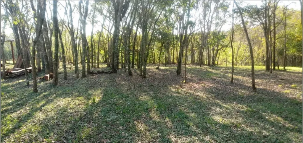 Vendo Terreno en COMPLEJO ECOLÓGICO CASA DEL MONTE, ATYRÁ. — foto 3
