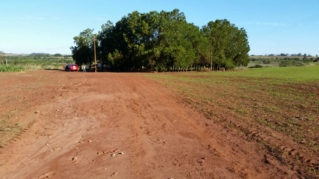 ALTO PARANÁ 390 HAS AGROGANADERA ZONA DE SANTA RITA CERCANÍAS DEL ASFALTO — foto 2