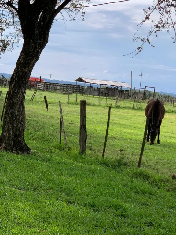 MISIONES 570 HAS SOBRE RUTA ASFALTADA Y EN EL FONDO LINDA CON EL RÍO TEBICUARY — foto 2