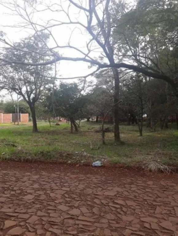 Vendo terreno en San Isidro — foto 2