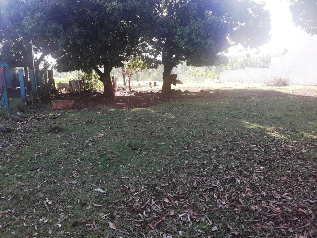 Terreno Zona Capitan Miranda — foto 3