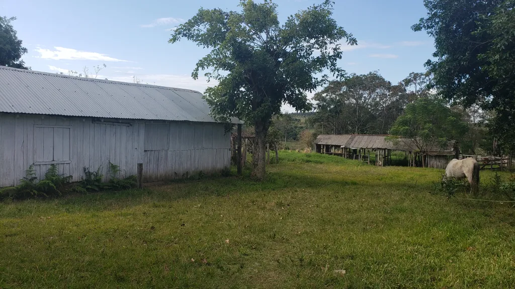 Terreno en San Juan Nepomuceno - Caazapá — foto 2