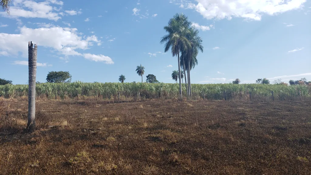 Terreno en San Juan Nepomuceno - Caazapá — foto 3