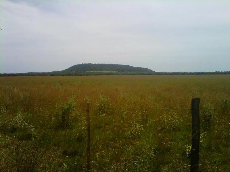 650 HAS COLONIA INDEPENDENCIA - VILLARRICA -ESTANCIA BIEN FORMADA-A 4 KMS DEL ASFALTO — foto 2