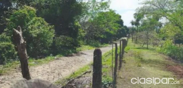 Vendo Terreno de 4 Ha en Ypacaraí — foto 2