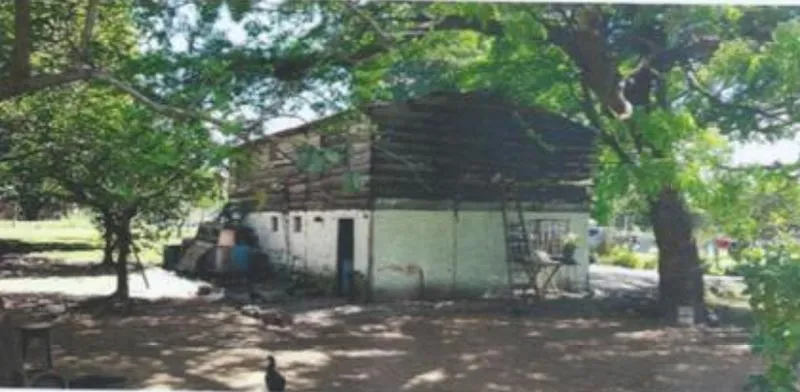 Vendo Terreno de 4 Ha en Ypacaraí — foto 3