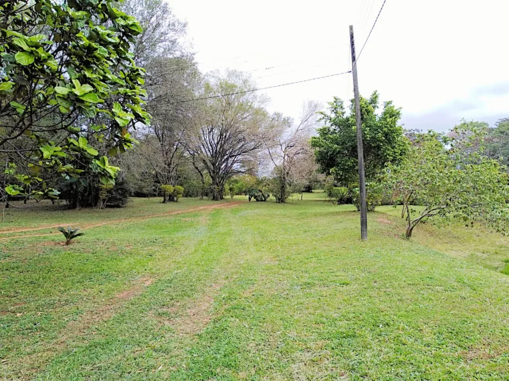 PROPIEDAD DE 10HAS SOBRE RUTA a ITA — foto 2