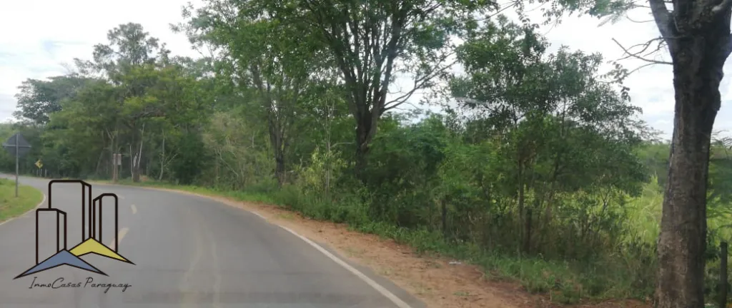 Vendemos 6 Hectareas — foto 3