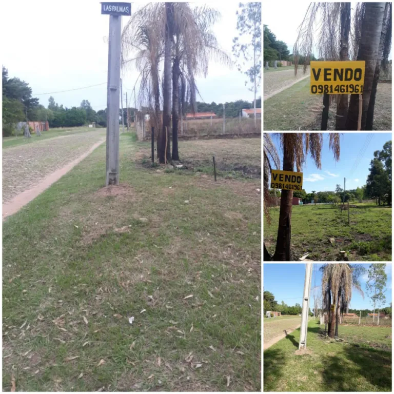 TERRENO PUERTA DEL LAGO SANBER — foto 3
