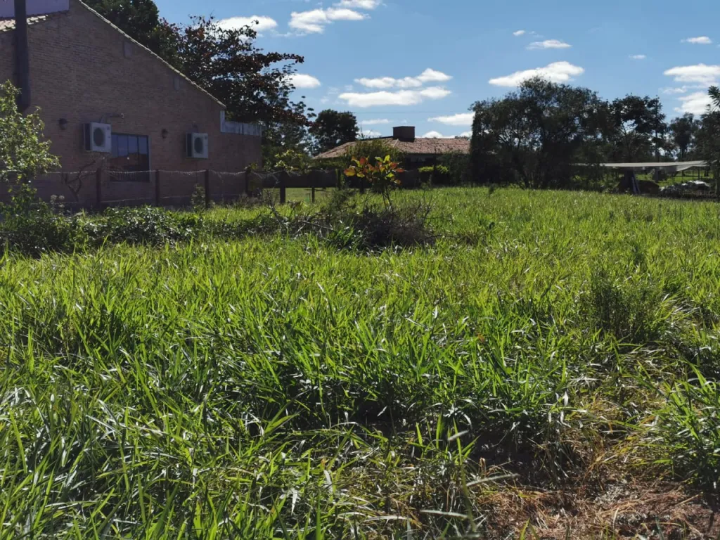 VENDO HERMOSO TERRENO EN SURUBII - LIMPIO — foto 3