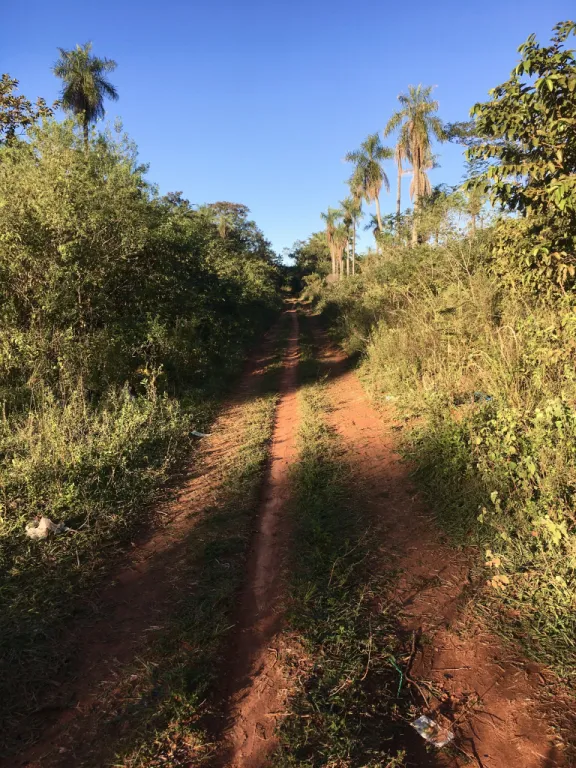 VENDO 17 INCREÍBLES LOTES EN ITAUGUA — foto 2
