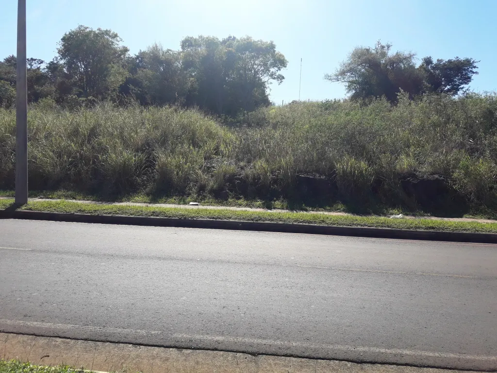 VENDO ATRACTIVO TERRENO EN LA PLAYA SAN ISIDRO - oportunidad de inversion — foto 2