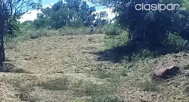 VENDO ATRACTIVO TERRENO EN LA PLAYA SAN ISIDRO - oportunidad de inversion — foto 2