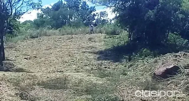 VENDO ATRACTIVO TERRENO EN LA PLAYA SAN ISIDRO - oportunidad de inversion — foto 2