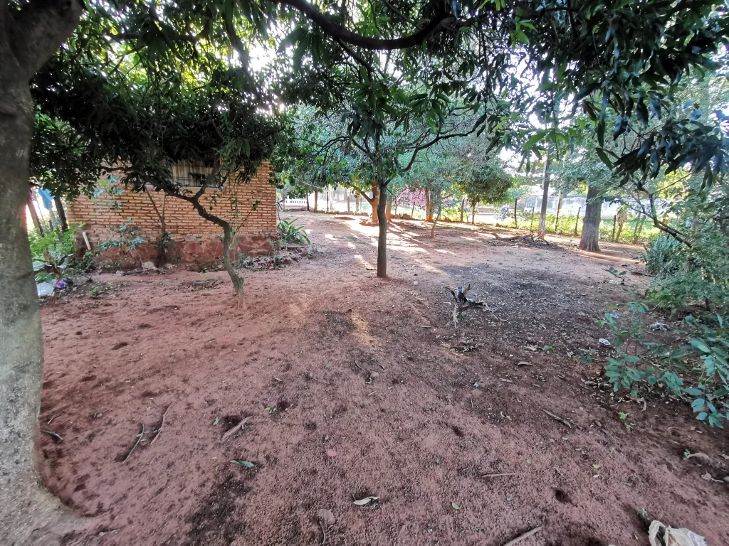 Terreno en venta en San Lorenzo — foto 2