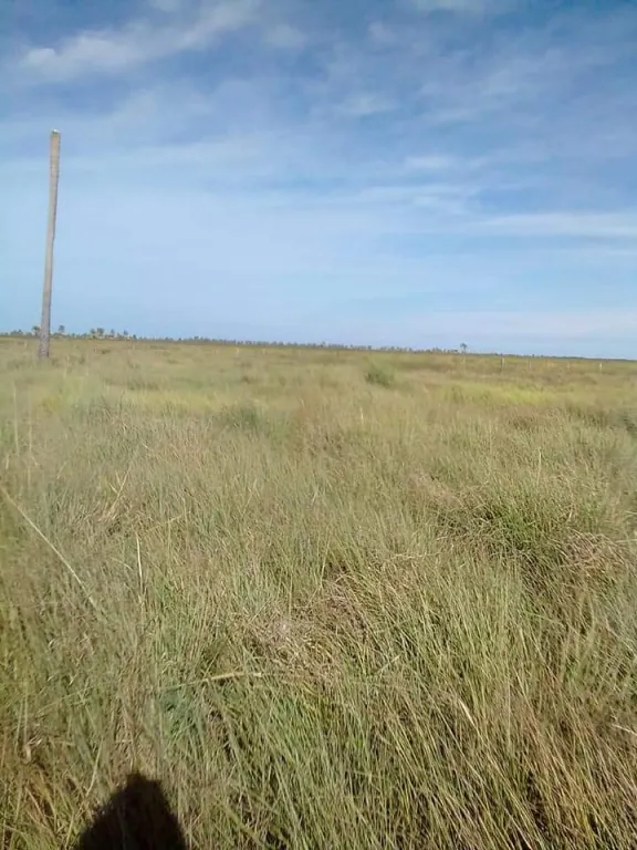 OFERTO CAMPO DE 4.911 HECTÁREAS EN ARROYOS Y ESTEROS — foto 2