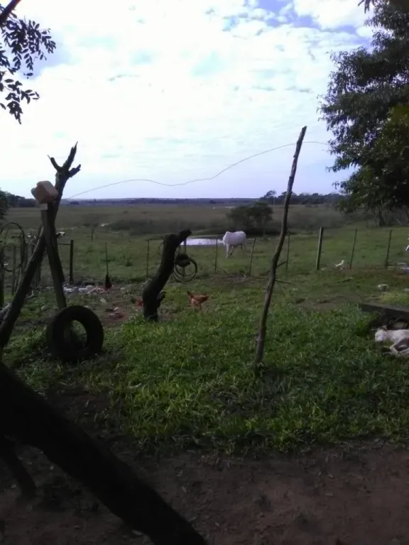 VENDO EN YATAITY DEL NORTE 70 HECTAREAS DE TERRENO, A 3.000 m DE RUTA 3. — foto 2