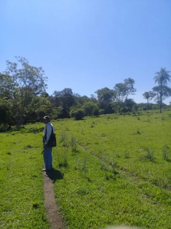 SAPUCAI – ESCOBAR, ACAHAY: 32 HAS, IDEALES P PLANTACIÓN Y GANADO, ARROYOS, BOSQUE. — foto 2