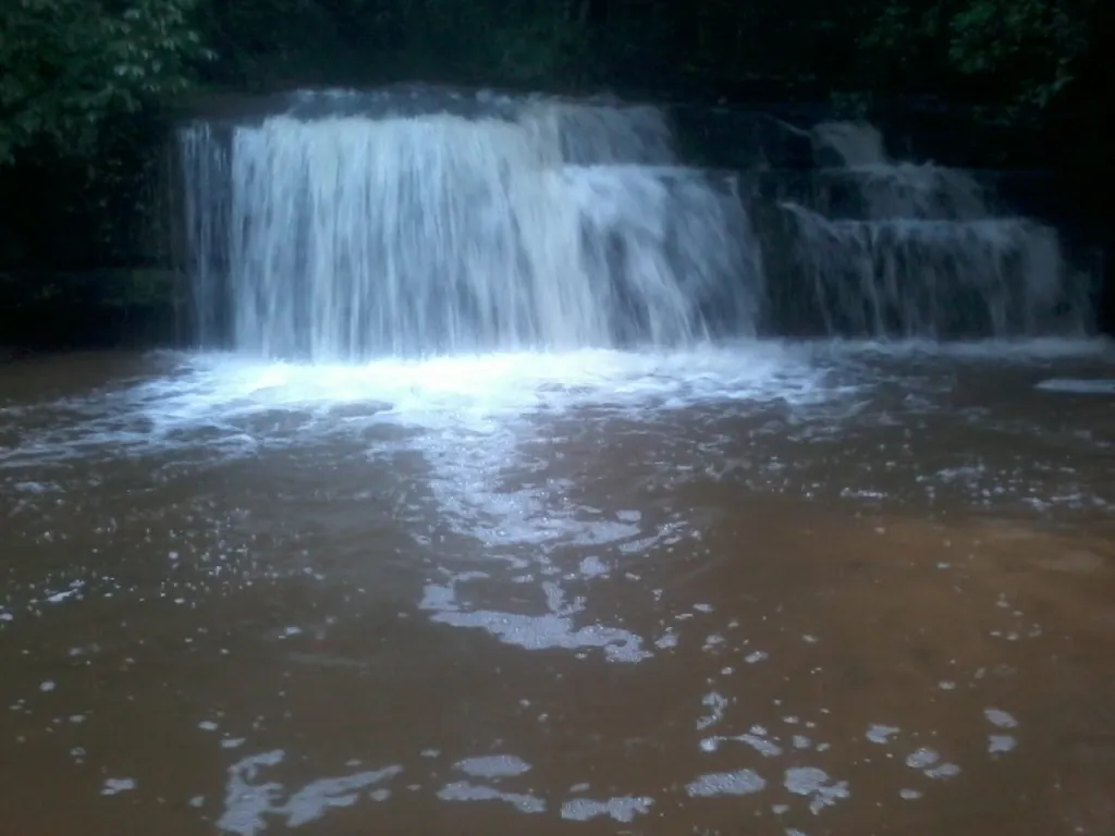 ESCOBAR – PARAGUARÍ: 31 HAS EN VENTA – BOSQUES, ARROYOS IDEAL P GRANJA O QUINTA. — foto 2