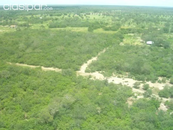 BAHÍA NEGRA – ALTO PARAGUAY: OFERTÍSIMA! – 14.000 HAS, C INFRAESTRUCTURA EN VENTA. — foto 3