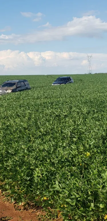 SANTA ROSA MISIONES VENDO TIERRA AGRÍCOLA DE 180 HAS — foto 2