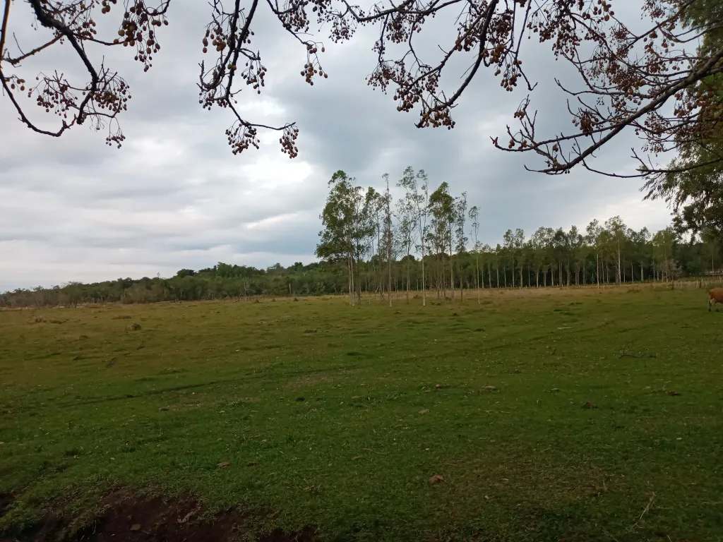 Granja de 10 has — foto 3
