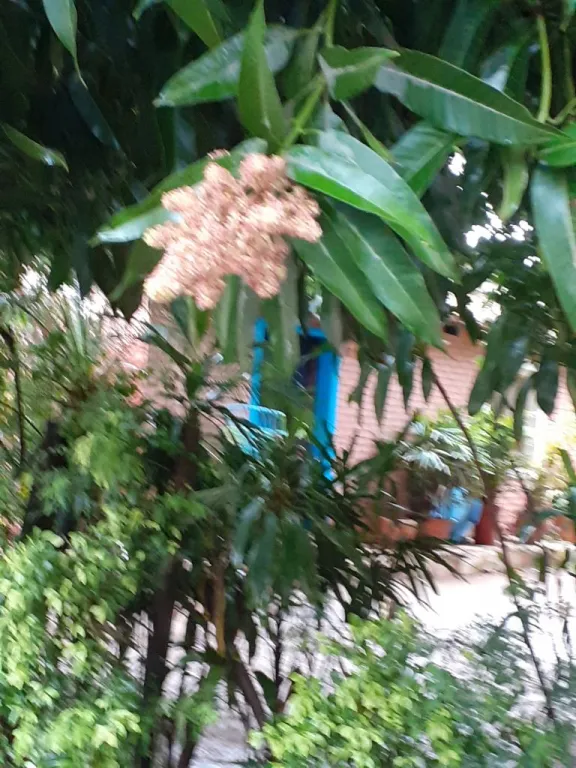 VENDO CASA EN BARRIO MBOKAJATY, ZONA COLEGIO SANTA ANA (St. Annes School) — foto 3