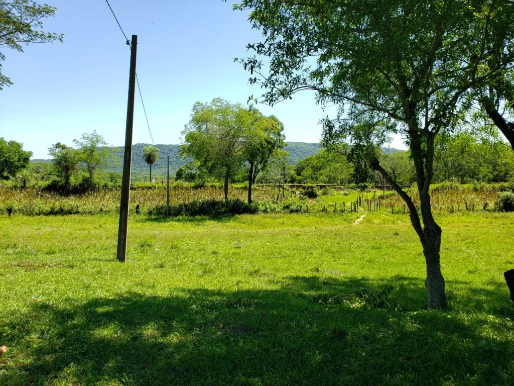 VENDO 13 HAS EN PARAGUARI - ESCOBAR — foto 2
