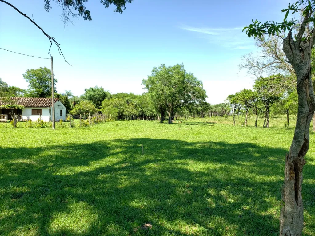 VENDO 13 HAS EN PARAGUARI - ESCOBAR — foto 3