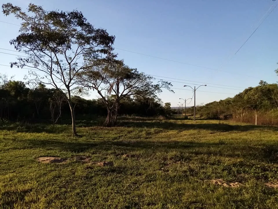 Terrenos en Ypacaraí - ZONA URBANA — foto 2