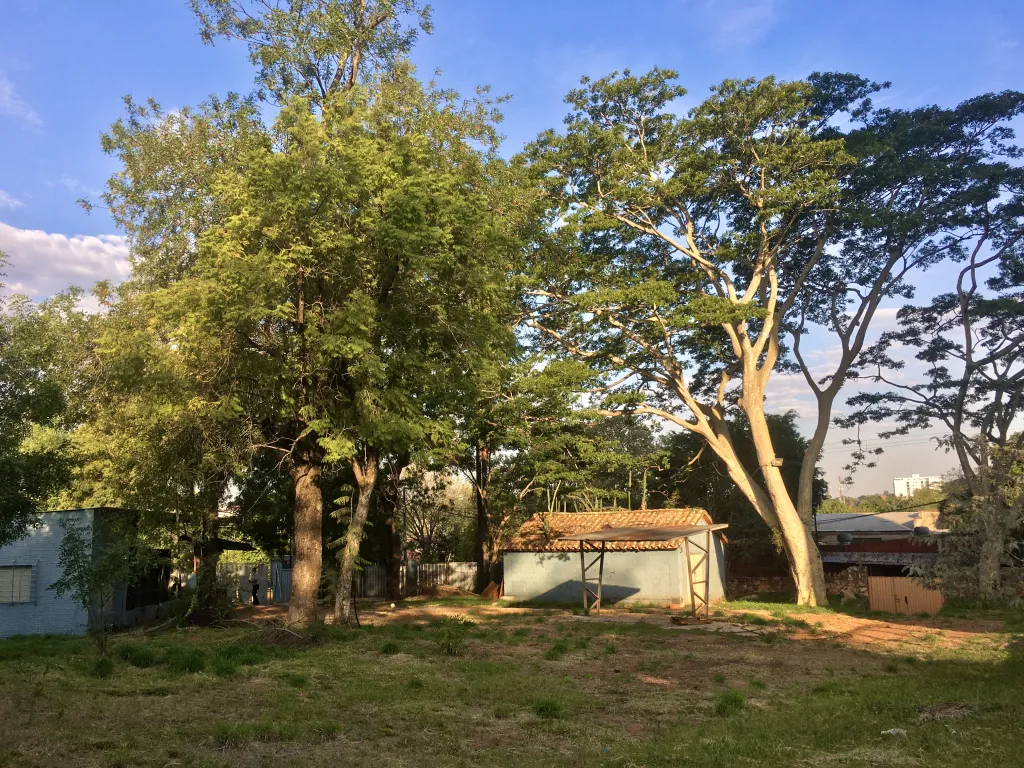 VENDO INCREIBLE TERRENO 1495 m2 - SAN VICENTE — foto 2