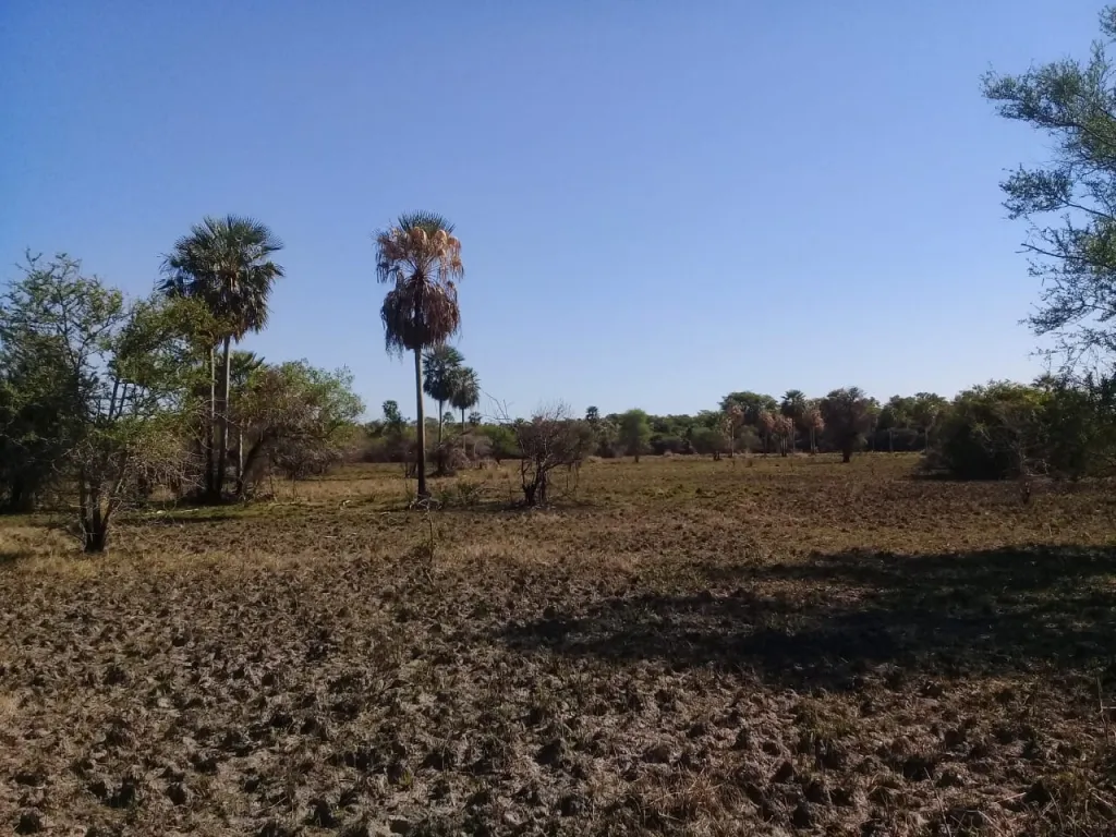 BENJAMÍN ACEVAL - RIO CONFUSO: 103 HAS, FRACCIONABLES, SOBRE RÍO, 2.500.000.000 GS. — foto 2