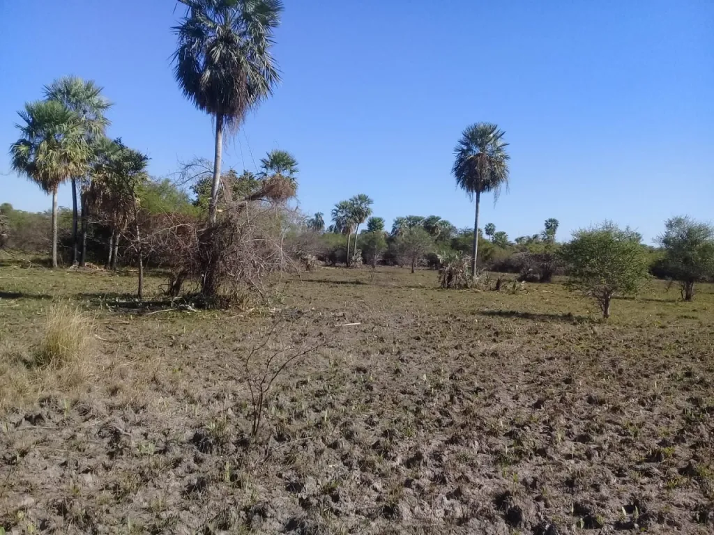 BENJAMÍN ACEVAL - RIO CONFUSO: 103 HAS, FRACCIONABLES, SOBRE RÍO, 2.500.000.000 GS. — foto 3