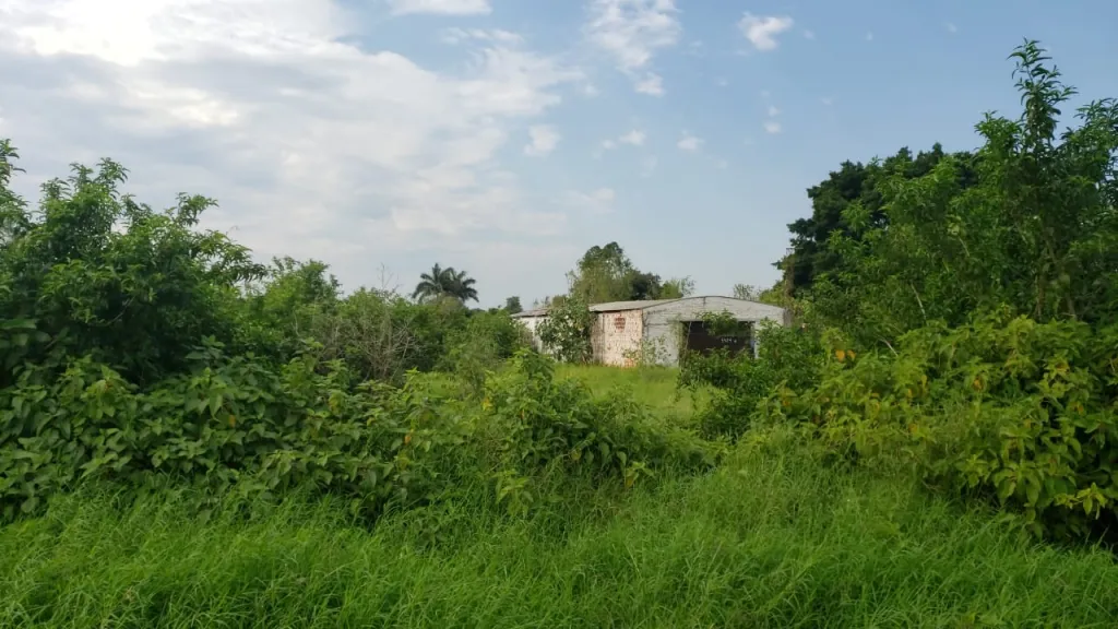 VENDO LOTES ENTRE RUTA 1 Y RUTA 2 5.500m2 — foto 2