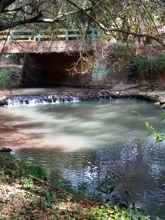 VENDO JUNTO 3 HECTAREA EN CAACUPE — foto 3