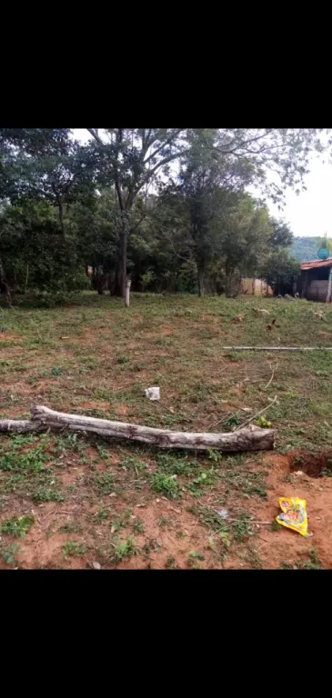 VENDO TERRENO DE 30.X.30 EN CAACUPE YTU ENTRE LOS VECİNOS AGUA LUZ A 3 CUADRAS DEL AROYO — foto 2